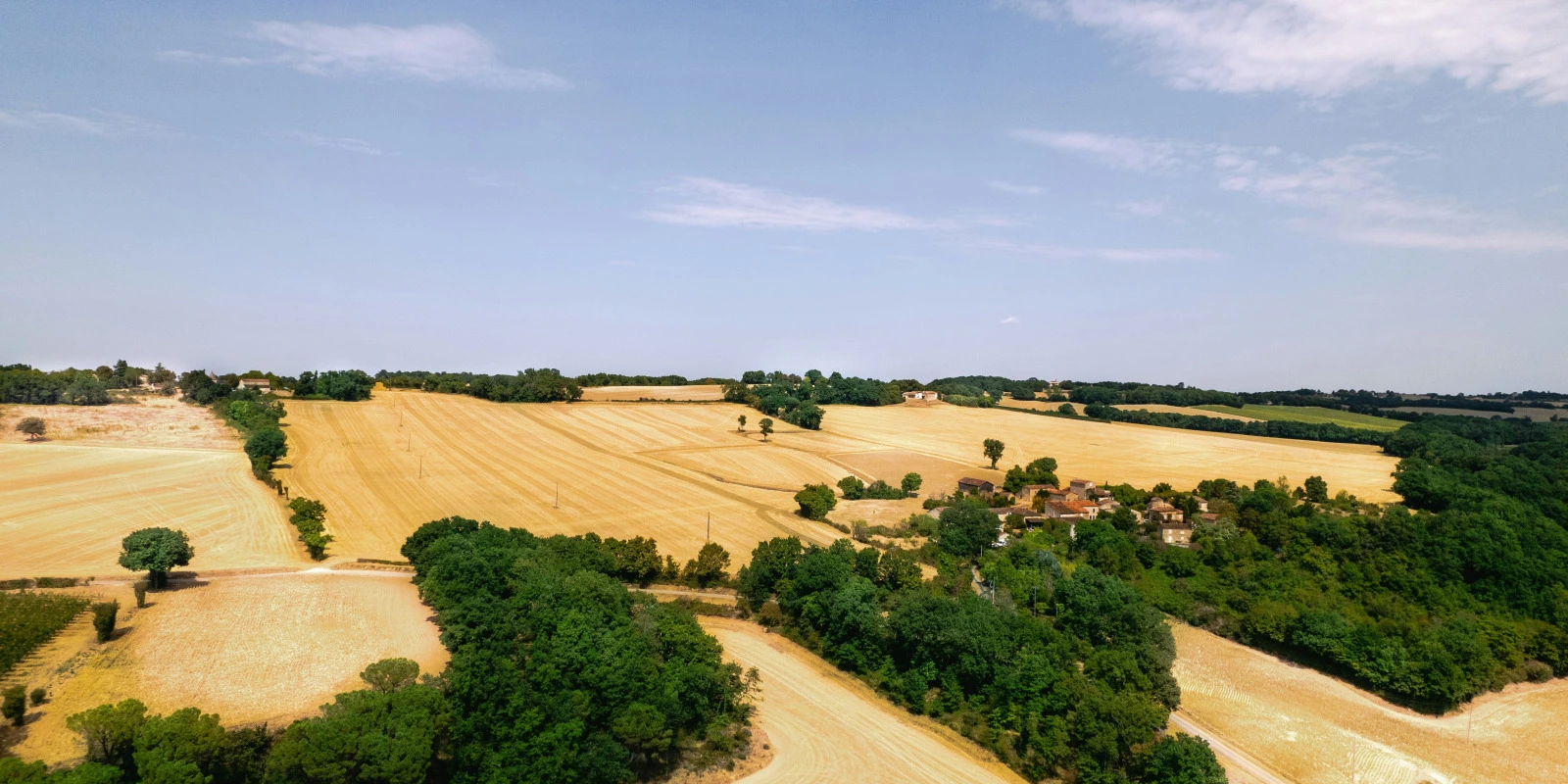 Comment Préparer sa Candidature pour une Licence SPI