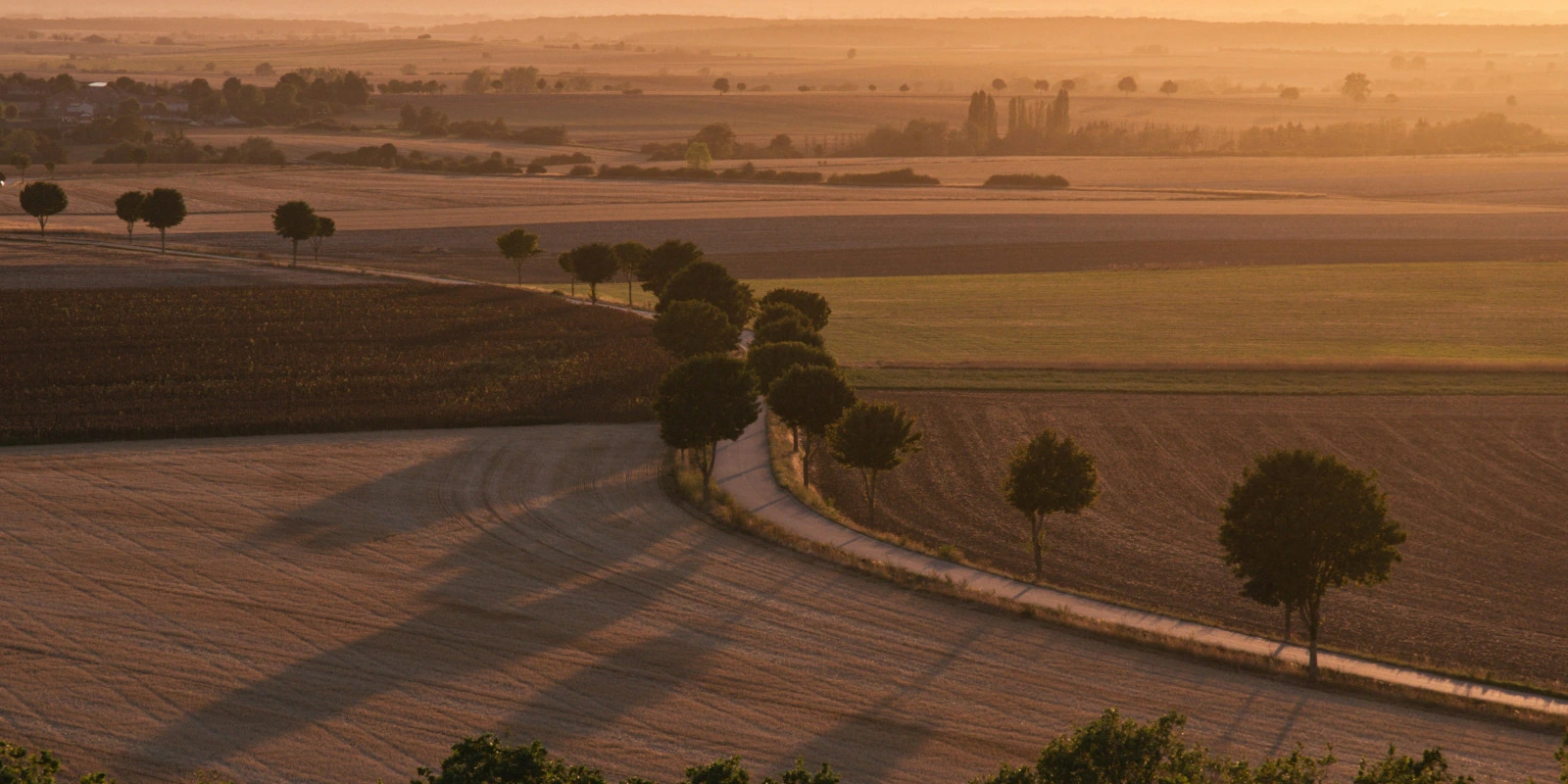 Focus sur le Parcours Électronique et Génie Informatique en Licence SPI