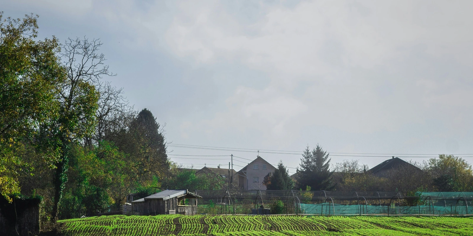 L'Importance des Propriétés des Matériaux en Licence SPI