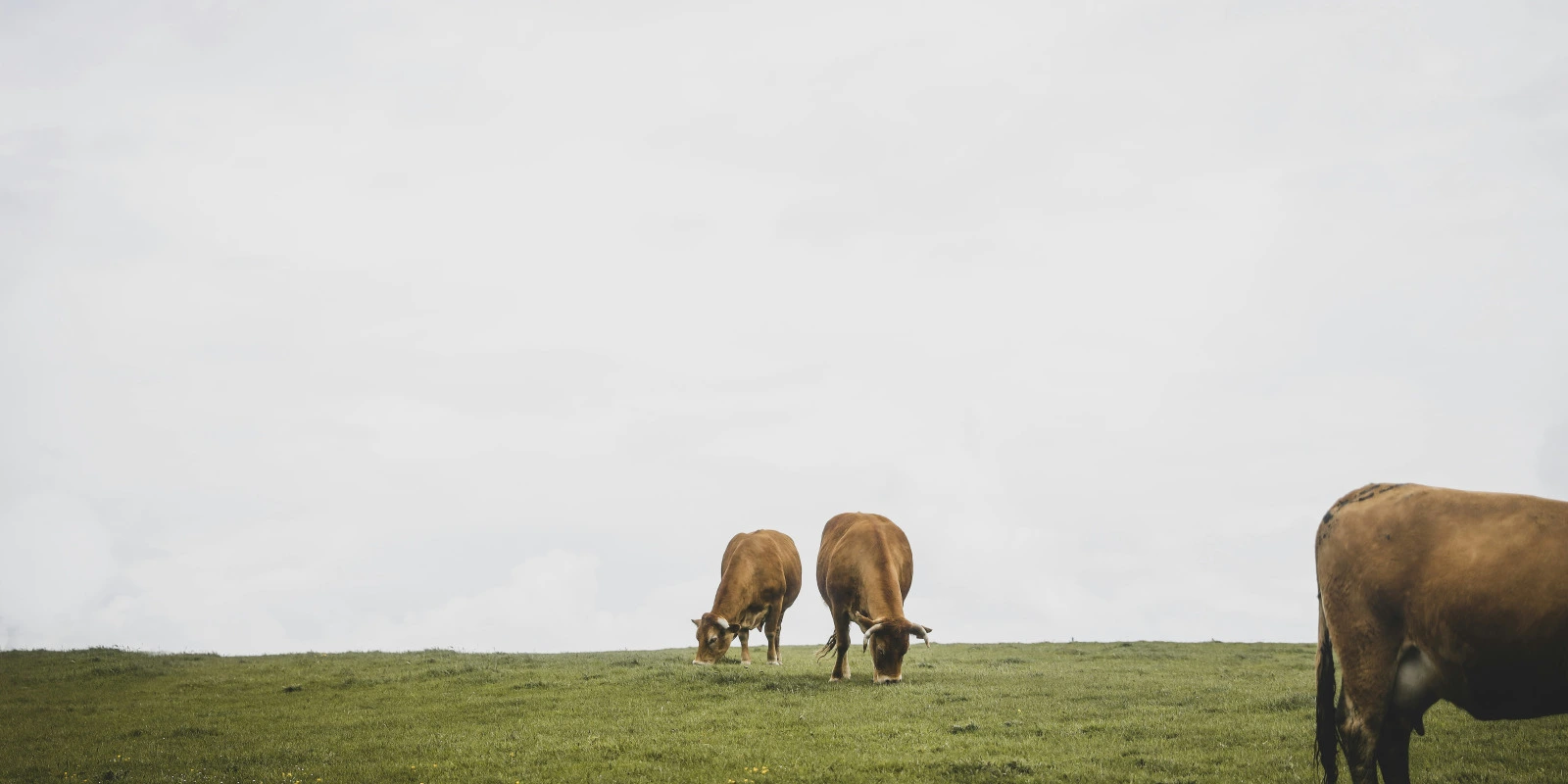 La Licence SPI : Un Tremplin Vers l'École d'Ingénieur