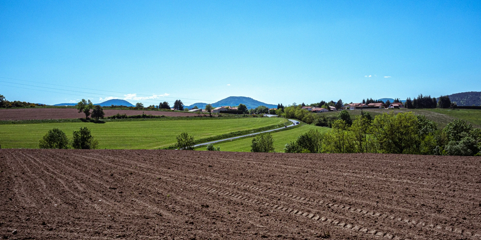 Les Atouts de la Licence SPI pour une Carrière en Science