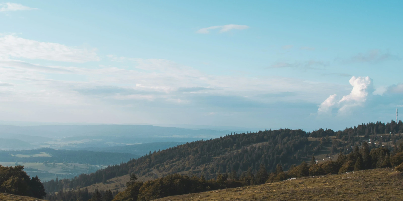 Licence SPI ou DUT : Comment Choisir ?