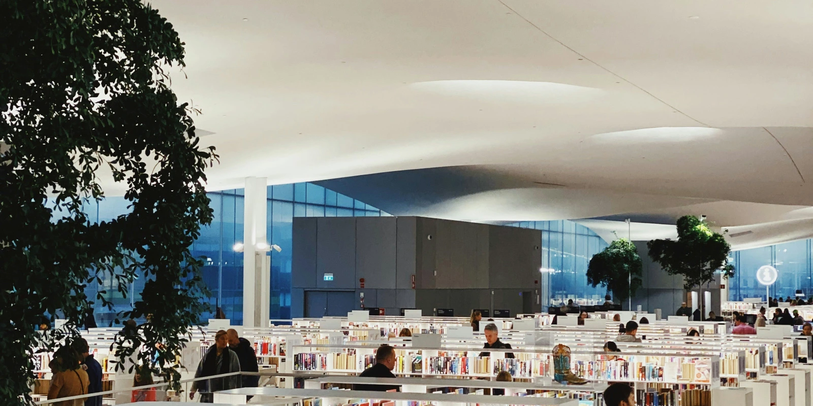 Mathématiques Appliquées pour l'Ingénieur : Outils et Techniques